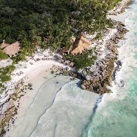 Hotel Diamante K - Inside Tulum National Park