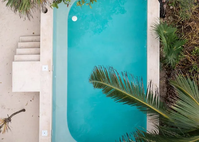 Hotel Diamante K - Inside National Park